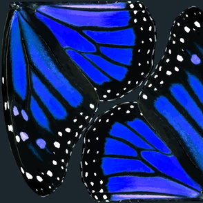  Blue Monarch Butterfly Wings