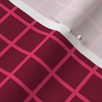 raspberry cherry windowpane