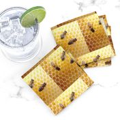 Honeycomb_with_bees_2