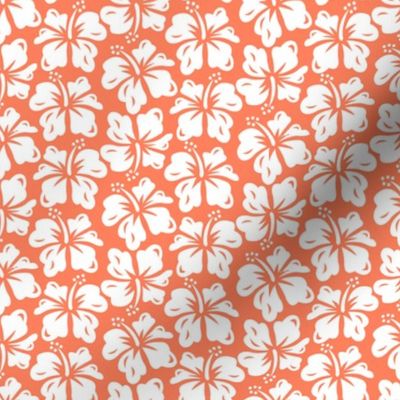 Hibiscus Surf - Coral