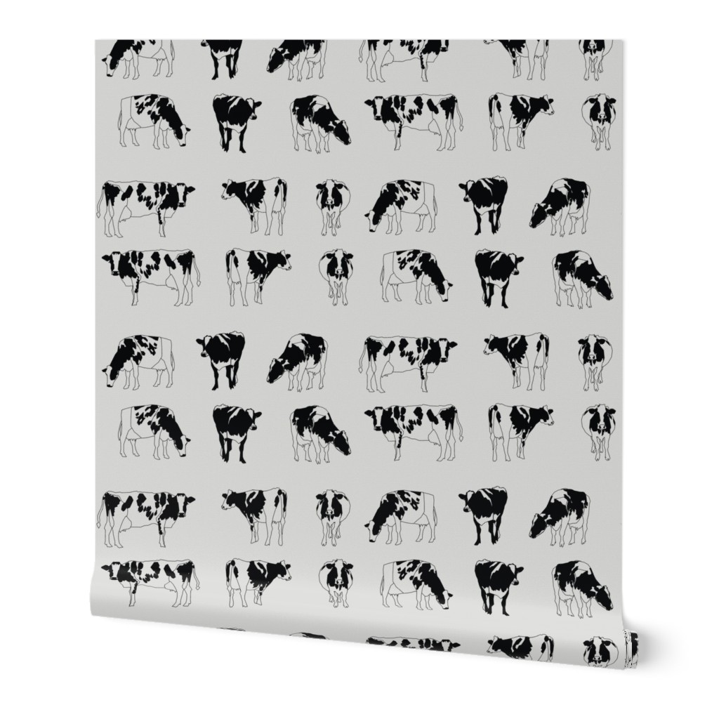 Dairy Cows Monochrome