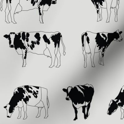 Dairy Cows Monochrome