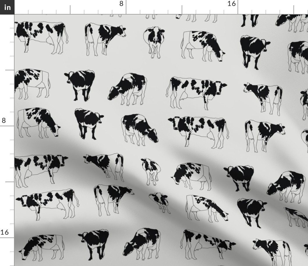 Dairy Cows Monochrome