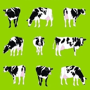 Dairy Cows on Green