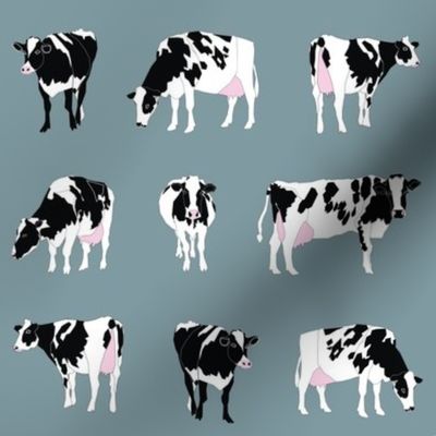 Dairy Cows on Bluegrey