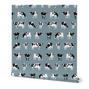 Dairy Cows on Bluegrey