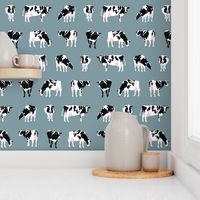 Dairy Cows on Bluegrey