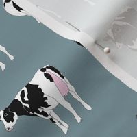 Dairy Cows on Bluegrey