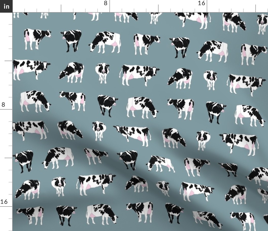 Dairy Cows on Bluegrey