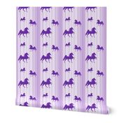 Horses-purple_stripe-smaller