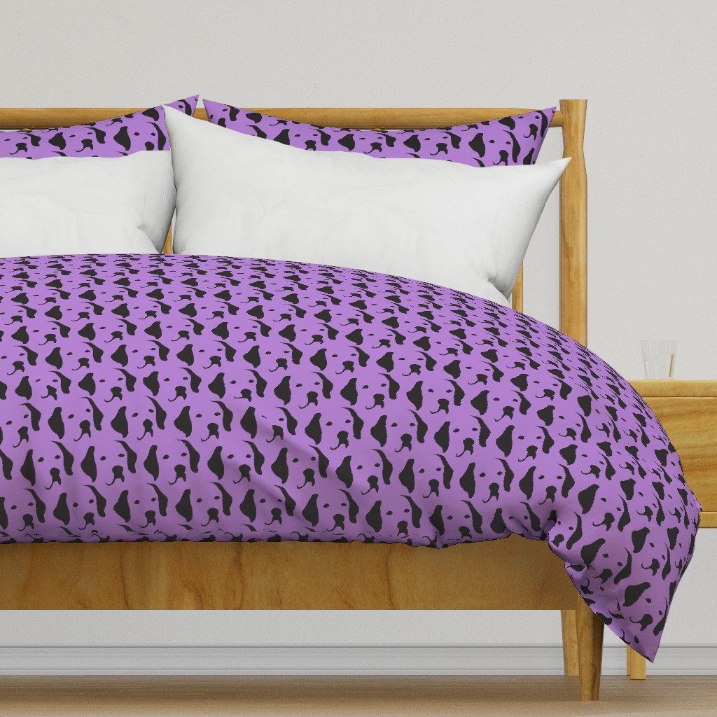 Labrador purple