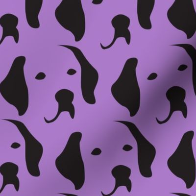 Labrador purple