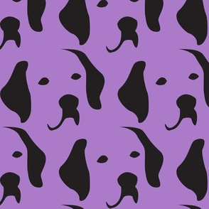 Labrador purple