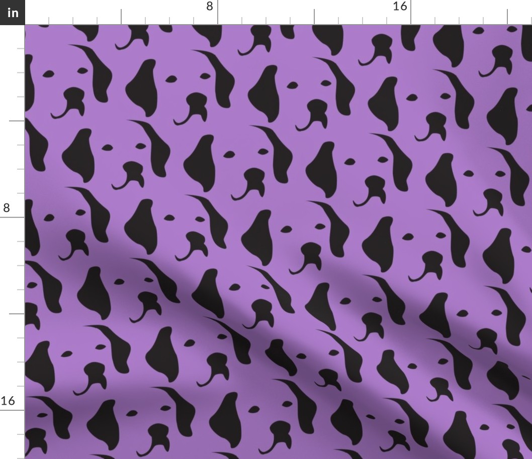 Labrador purple