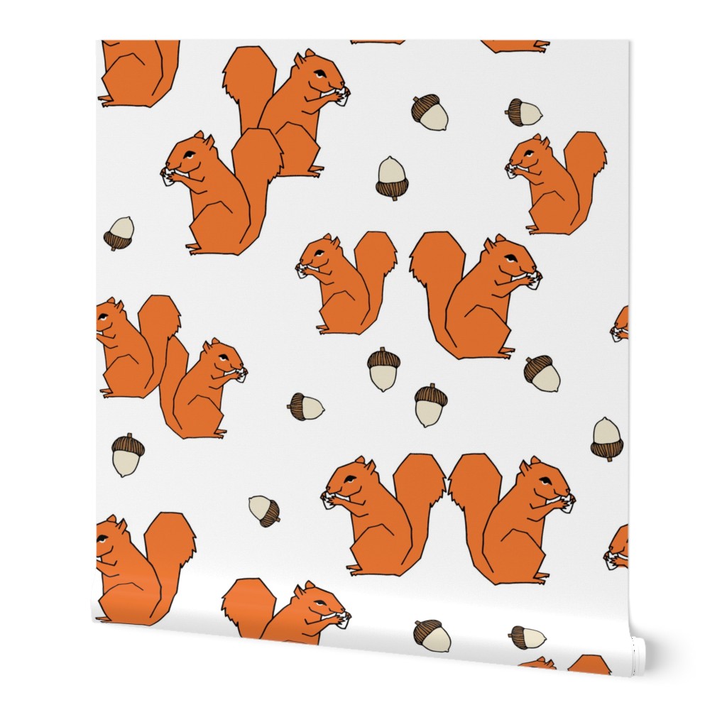 squirrels // squirrel orange fall autumn kids woodland forest animal