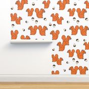 squirrels // squirrel orange fall autumn kids woodland forest animal