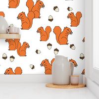 squirrels // squirrel orange fall autumn kids woodland forest animal