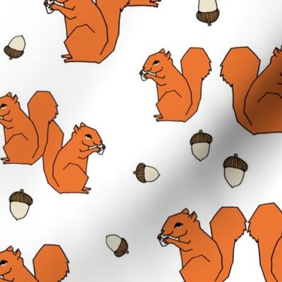 squirrels // squirrel orange fall autumn kids woodland forest animal