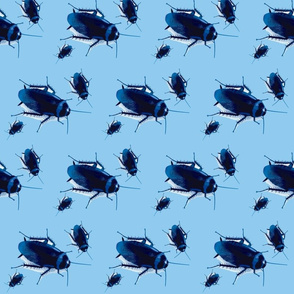 Blue on Blue Roaches