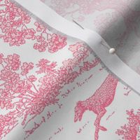 Light Pink Greyhound Toile 