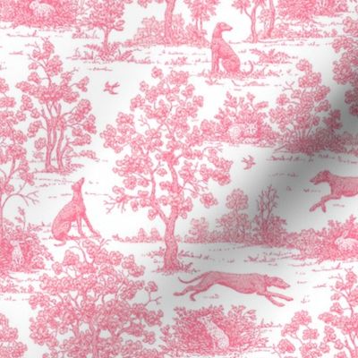 Light Pink Greyhound Toile 