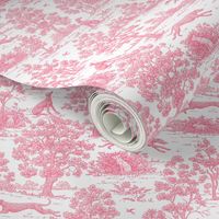 Light Pink Greyhound Toile 