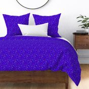 Colorful Rainbow Stars on Royal Blue/ Purple