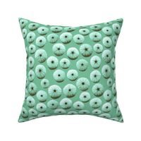 sea urchin shells - green