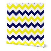 Yellow and Blue Chevron Stripes