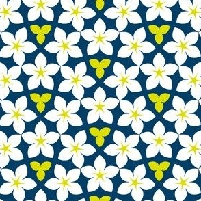 03246025 : U53floral : synergy0001