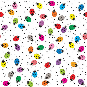 Ladybirds Rainbow