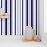 Elegant Royal Blue & Grey Dotted Stripe