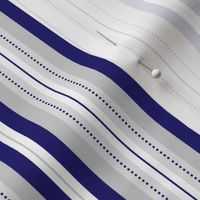 Elegant Royal Blue & Grey Dotted Stripe