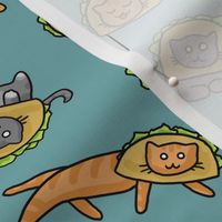 Cats in Taco Hats