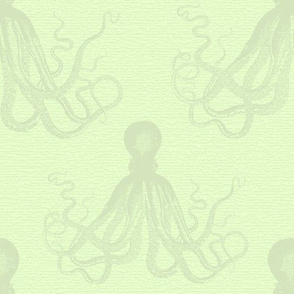 Octopus Aquamarine