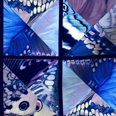 How_Butterflies_Accessorize_2_