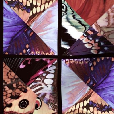 How_Butterflies_Accessorize_6_