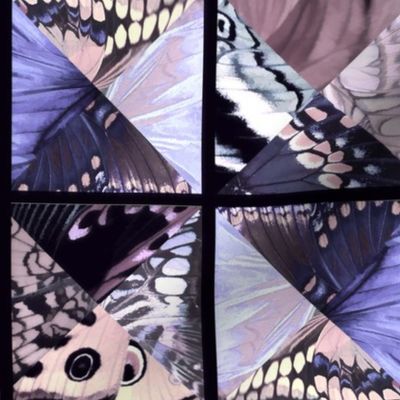How_Butterflies_Accessorize_11