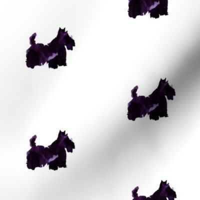 scottie_purple_cestlaviv