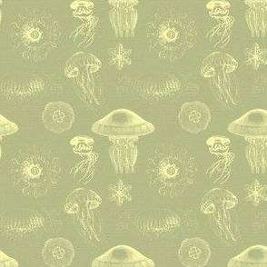 jellyfish Yellow