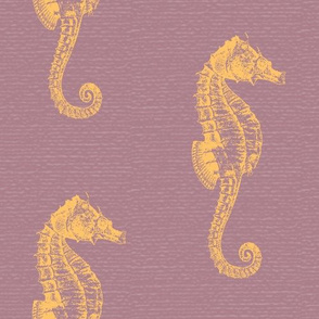 Seahorse lila