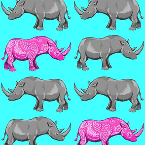 Rhinos on Aqua