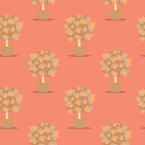 Lemon tree on pink background