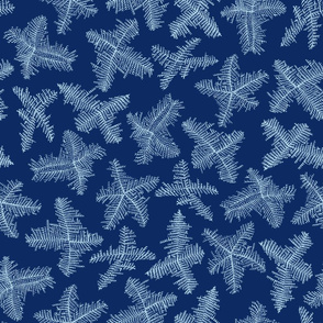 deep winter blue frost