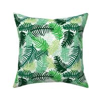 Green tropical hawaiian summer garden brazil plants and palm leaves green