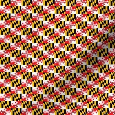 MD Flag Maryland Smaller