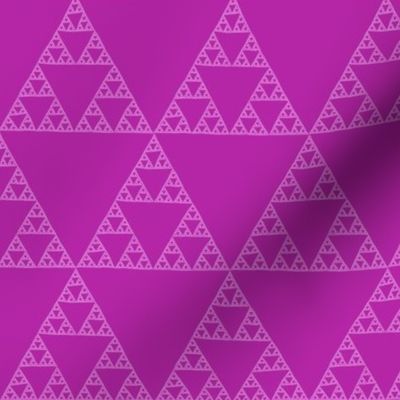 Sierpinski Triangle - orchid