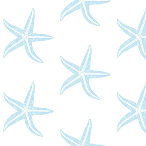 I wish upon a Baby Blue Starfish - Large Scale
