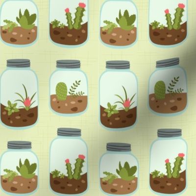 Terrarium Jars