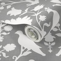 Oiseaux in Cashmere